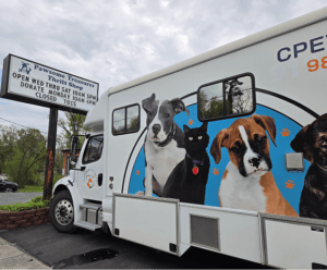 Pet-adorned vehicle near shop sign
