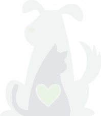 Heart in cat silhouette with dog outline